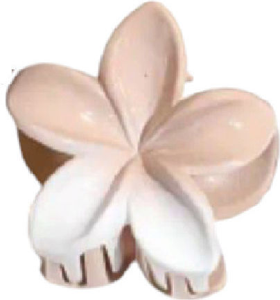 Γυναικείο Fashion Clip Κλάμερ Κοκάλινο Flower Beige 4cm