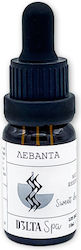 D3lta Spa Αιθέριο Έλαιο Λεβάντα 10ml D3lta Spa Αιθέριο Έλαιο Λεβάντα 10ml