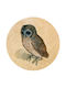 Parastone Paperweight Albrecht Dürer Owl