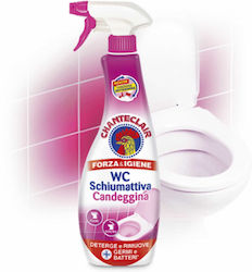 Chante Clair Reinigungsspray Toilette 625ml Chante Clair Reinigungsspray Toilette 625ml