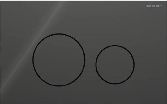 Geberit Sigma Flush Plate Dual Flush