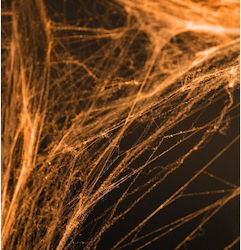 Orange Dekoratives Spinnennetz 60g