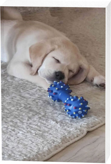 Κορνίζα Plexi Glass Dog Κορνίζα Plexi Glass Dog