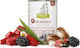 Isegrim Wet Food Dogs in Cans with Meat, Blueberries and Salmon 400gr