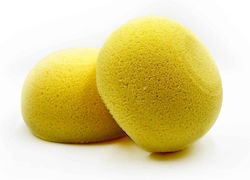 Απαλό Σφουγγάρι Καθημερινής Χρήσης Ultra Soft Family Sponge