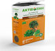 Gemma Activozine Granular Fertilizer Activazine for Green Plants, Fruitful 2kg