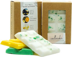Candlemaker Set Wachs-Schmelzen