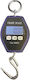 Electronic Professional Hanging Scale with Weighing Capacity of 300kg