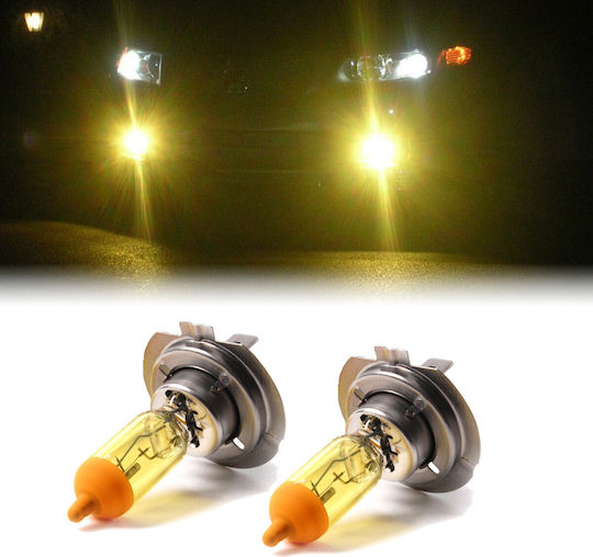 Lămpi Autoturismului H7 Halogen 3000K Alb cald 12V 55W 2buc