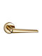Viometale Lever Front Door with Rosette Pair with Rosette Gold