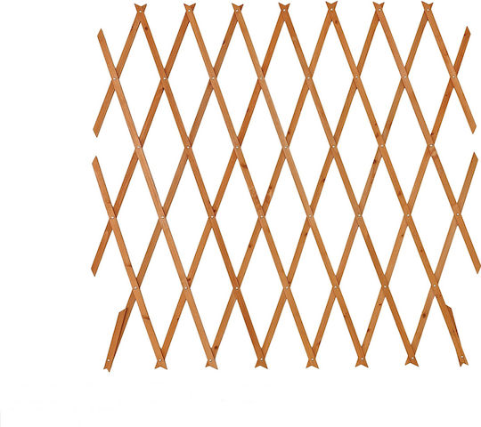 Garden Trellis from Wood in Brown Colour 180x90cm