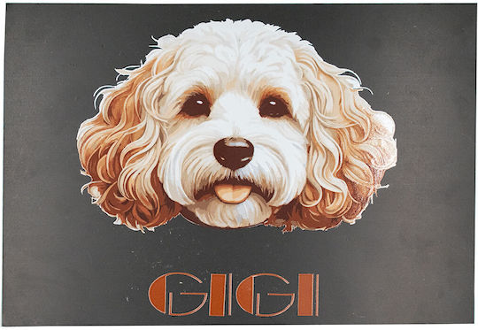 Plexi Glass Frame Gigi