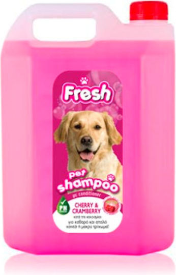 Fresh Professional Dog Shampoo Cherry 4 Liters