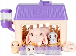 Miniature Novelty Toy Little Live Pets For Age 5+ Miniature Novelty Toy Little Live Pets For Age 5+