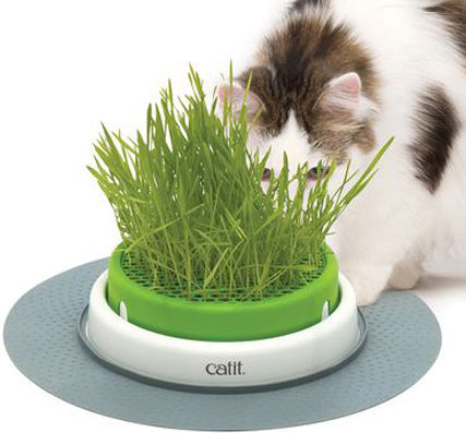 Catit Senses 2.0 Γλάστρα Χόρτο Γάτες 37x37x7cm