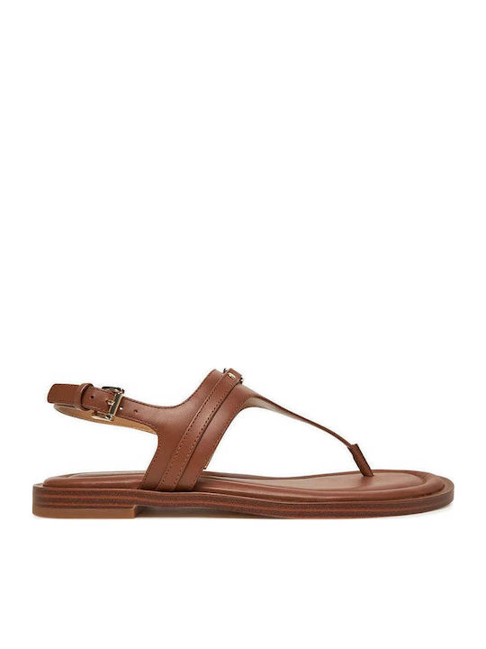 Women's Flat Sandals in Brown Color