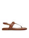 Women's Flat Sandals in Brown Color