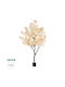 Globostar Artificial Garden Salmon Cherry Blossom Tree 20680 Decorative Artificial Tree Soft Pink Cherry Blossom H200cm
