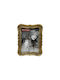 Fylliana Fl24999 Plastic Photo Frame with Gold Frame