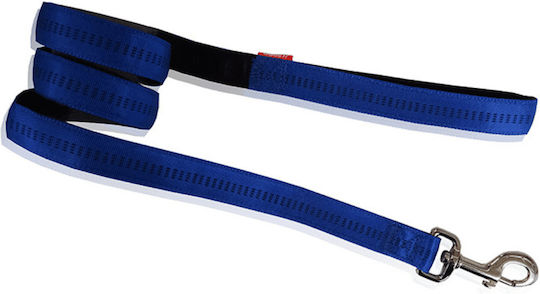 Go Get Stripes Dog Walking Leash Blue Large