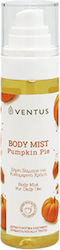 Imel Pumpkin Pie 100ml Imel Pumpkin Pie 100ml
