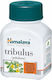 Himalaya Wellness Tribulus Gokshura 60 caps