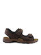 Anatomico Men's Sandals Brown