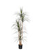 Arbore Artificial de Exterior Dracaena Brown 180cm Newplan
