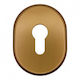 Interior Rosette Cylinder Lock Bronze
