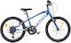 Dino Bikes Sport 20" Bicicletă pentru copii Biciclete de munte Albastru