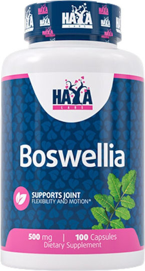 Haya Labs Boswellia Extract 500mg 100 caps