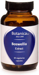 Botanica Boswellia 60 Vegetable Capsules Botanica Boswellia 60 Vegetable Capsules