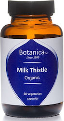 Botanica Γαϊδουράγκαθο 200mg 60 φυτικές κάψουλες