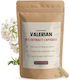 Cupplement Valerian Extract 400mg 60 κάψουλες