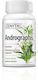 Zenyth Andrographis 386mg 30 Capsule