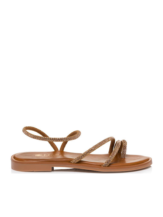 Δερμάτινα Γυναικεία Σανδάλια Gold/Brown