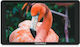 Feelworld P6xl 6'' Touchscreen Monitor Built-in Battery