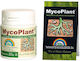 Mycoplant 5gr