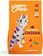 Edgard Cooper Dry Food for Adult Cats with Chicken 2kg