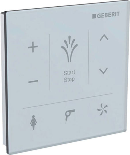 Geberit Dual Flush Plate for Cisterns