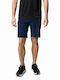 Columbia Triple Canyon Men's Hiking Short Trousers Blue