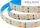 Ταινια Led 12v/14.5w Εσωτερικου Χωρου Ip20 240l 2835 6500k Wellmax Τεμάχια 5