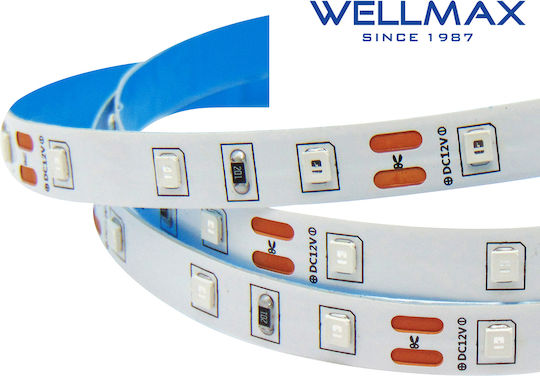 Ταινια Led 12v/5w Εσωτερικου Χωρου Ip20 60l 2835 Μπλεwellmax Τεμάχια 5