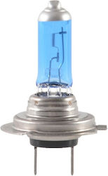 Lamp H7 Halogen White