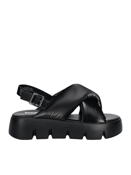 Steve Madden