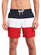 Men's Swimwear Shorts Multicolour Striped