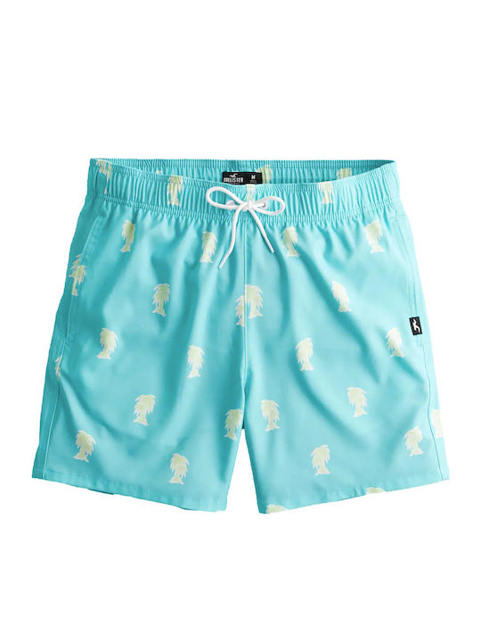 Hollister Hollister