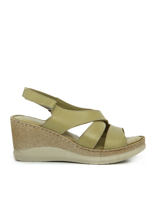 Platforme Dama Kaki