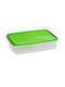 Viomes Lunchbox Kunststoff Transparent Geeignet für die Mikrowelle 38x28cm 1Stück