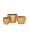 Iliadis Planter Ceramic Gold